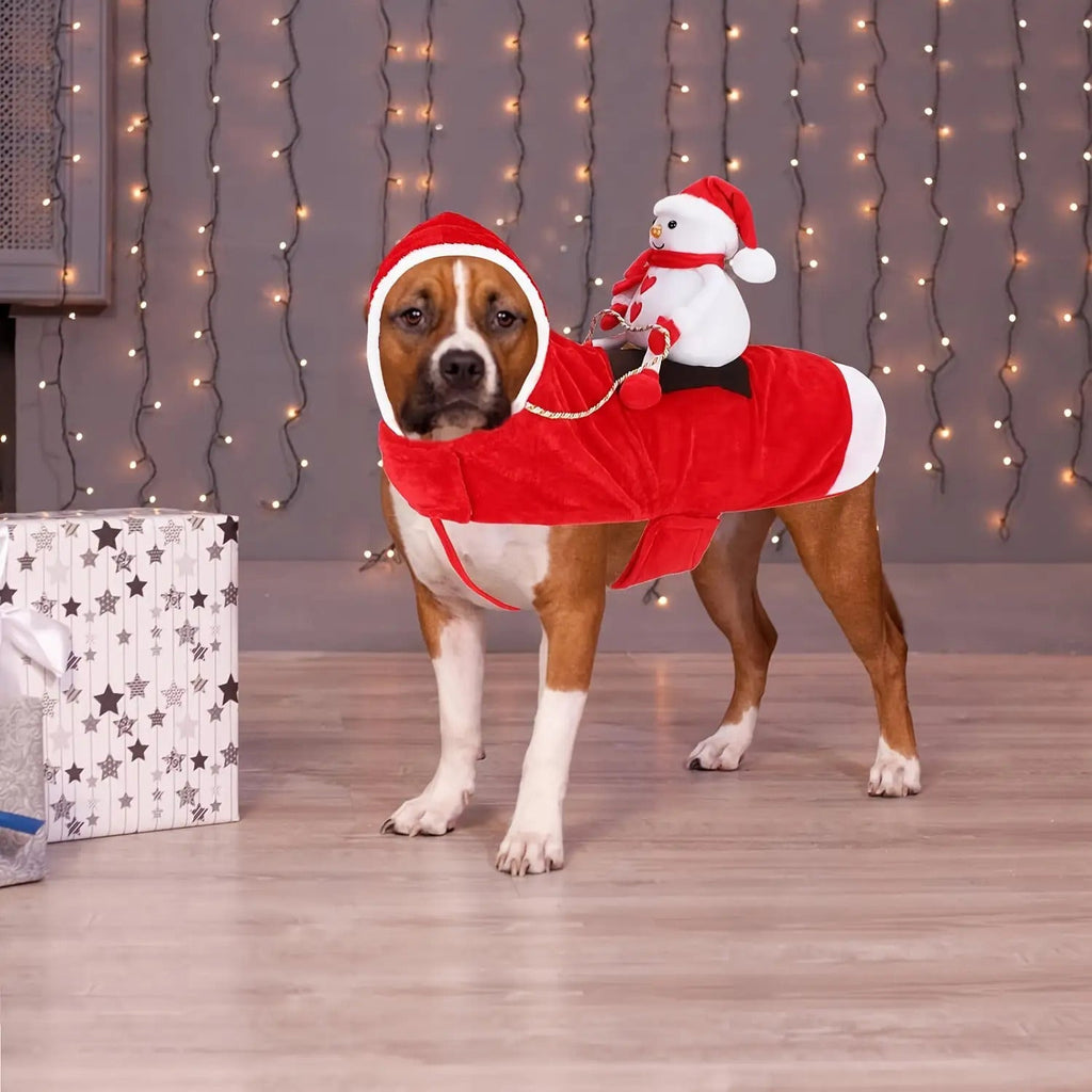 Sevair Deco Santa Carrying Dog Costume