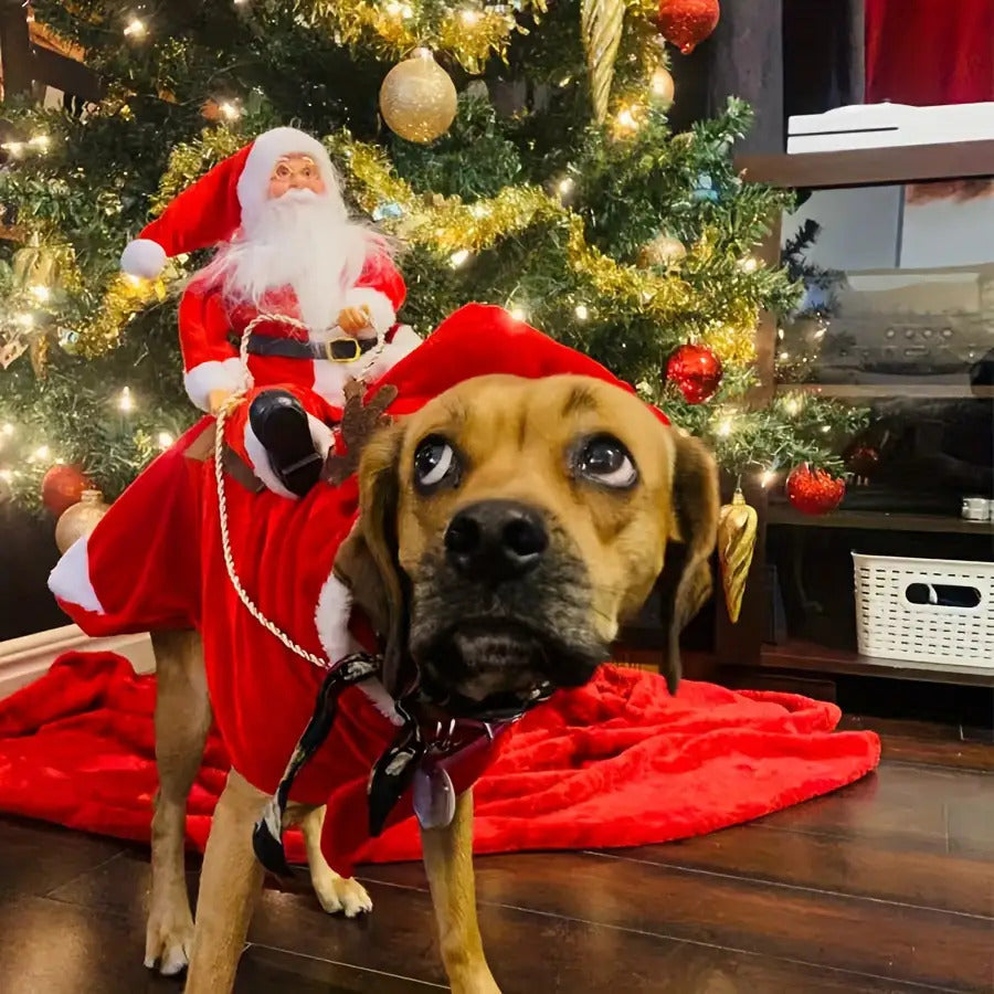 Sevair Deco Santa Carrying Dog Costume