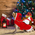 Sevair Deco Santa Carrying Dog Costume