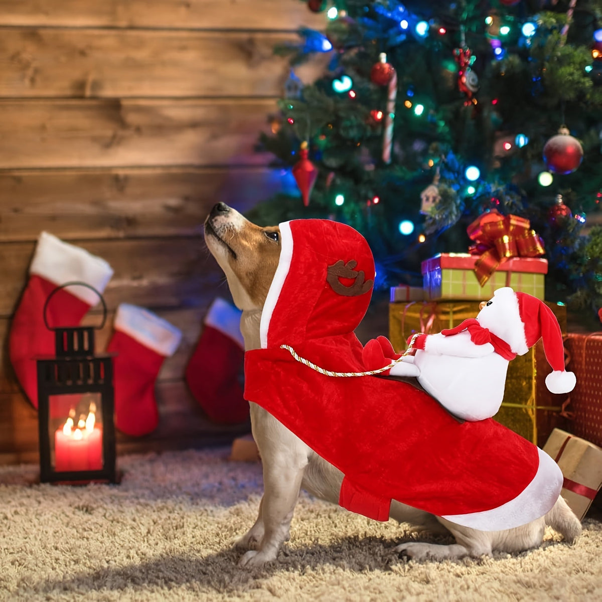 Sevair Deco Santa Carrying Dog Costume