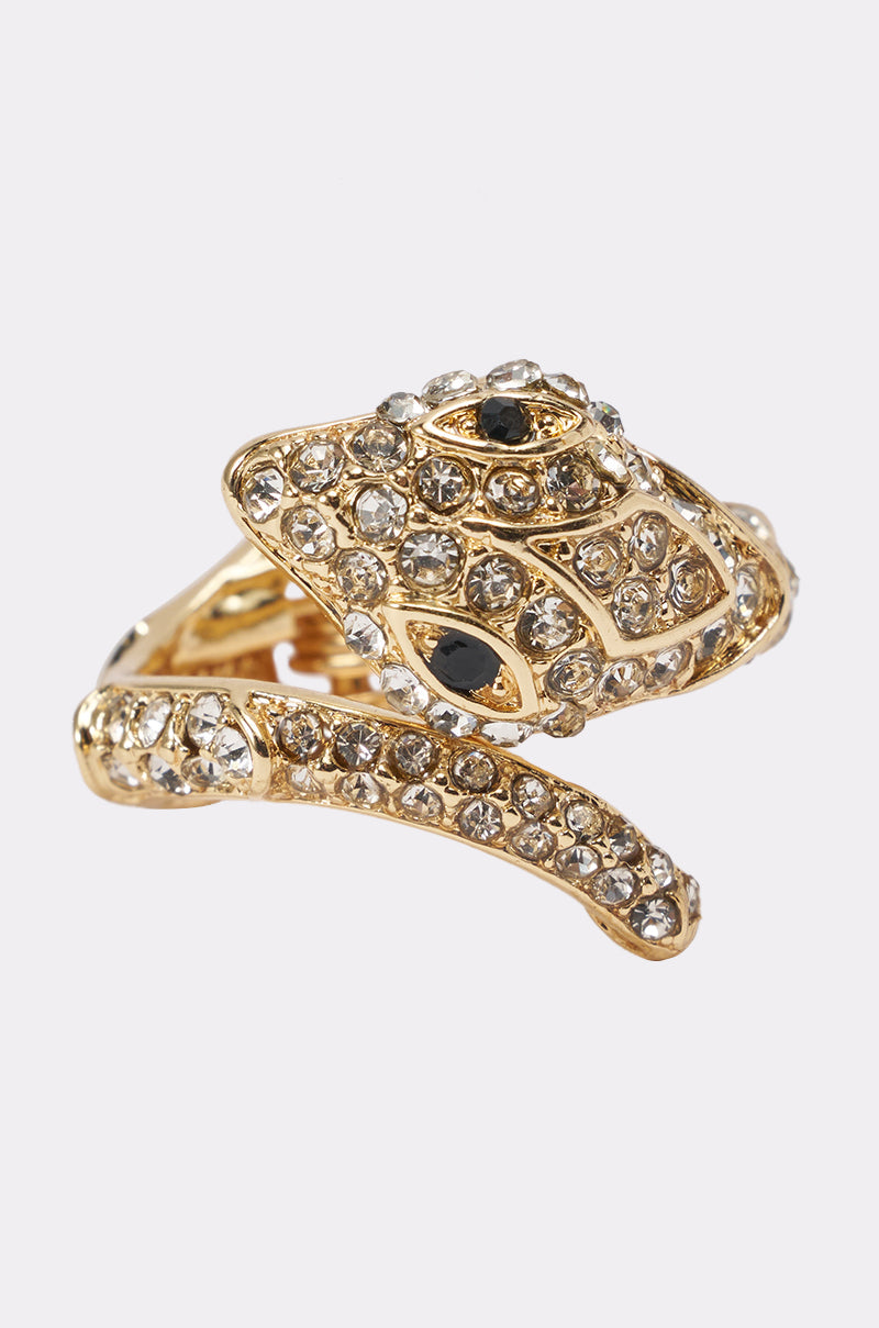 WRAPPED AROUND YOUR FINGER SNAKE RING