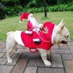 Sevair Deco Santa Carrying Dog Costume