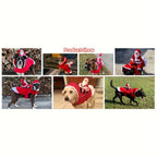 Sevair Deco Santa Carrying Dog Costume