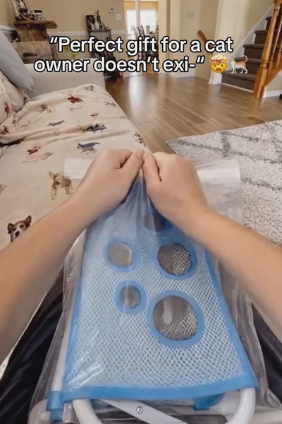 Video 5