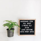 Sevair Deco Changeable Felt Letter Board 4