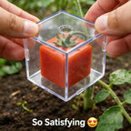 Sevair Deco Cube Fruit Shaping Mold for Gardens 4