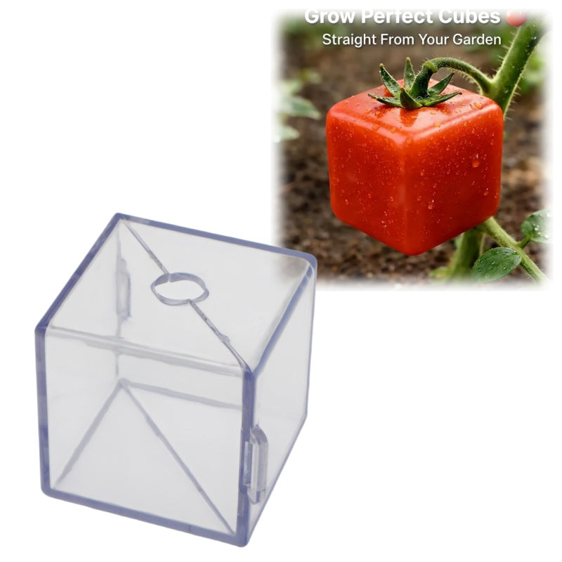 Sevair Deco Cube Fruit Shaping Mold for Gardens 6