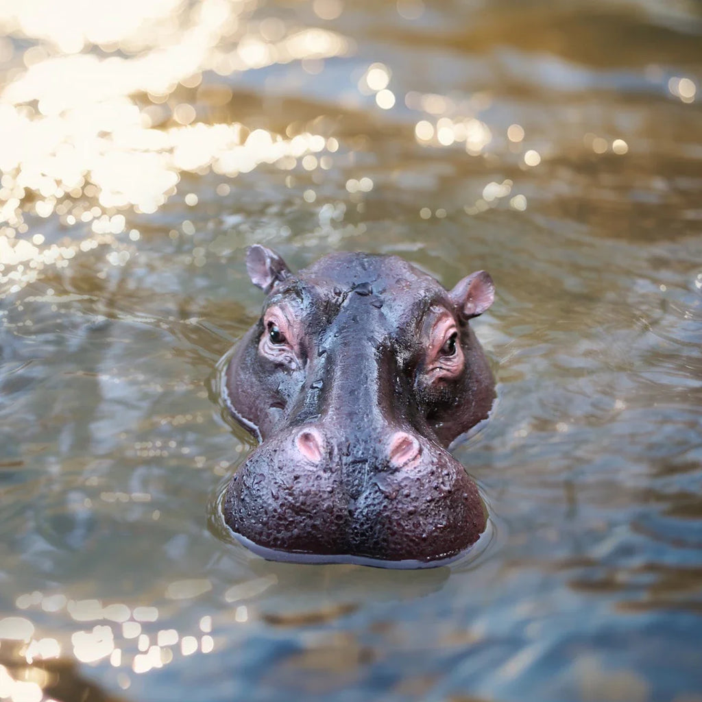 Sevair Deco Floating Hippo Pond Decor 3