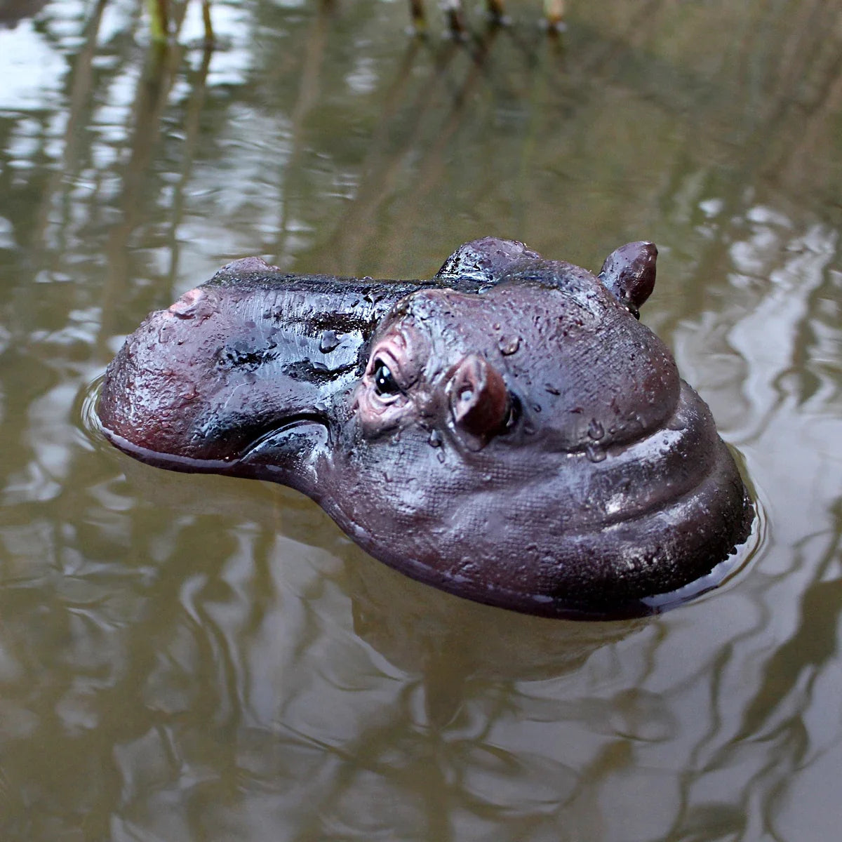 Sevair Deco Floating Hippo Pond Decor 6