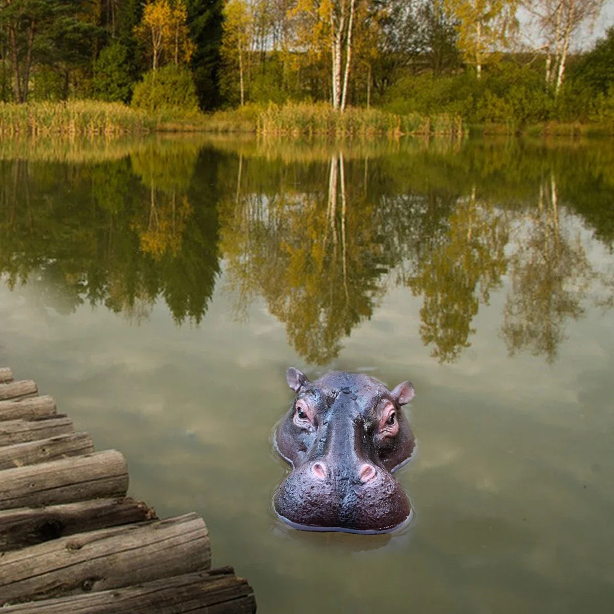 Sevair Deco Floating Hippo Pond Decor 8