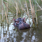 Sevair Deco Floating Hippo Pond Decor 9