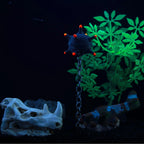 Sevair Deco Floating Sea Mine Aquarium Ornament 4