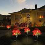 Sevair Deco Solar Poinsettia Lights for Christmas front yard