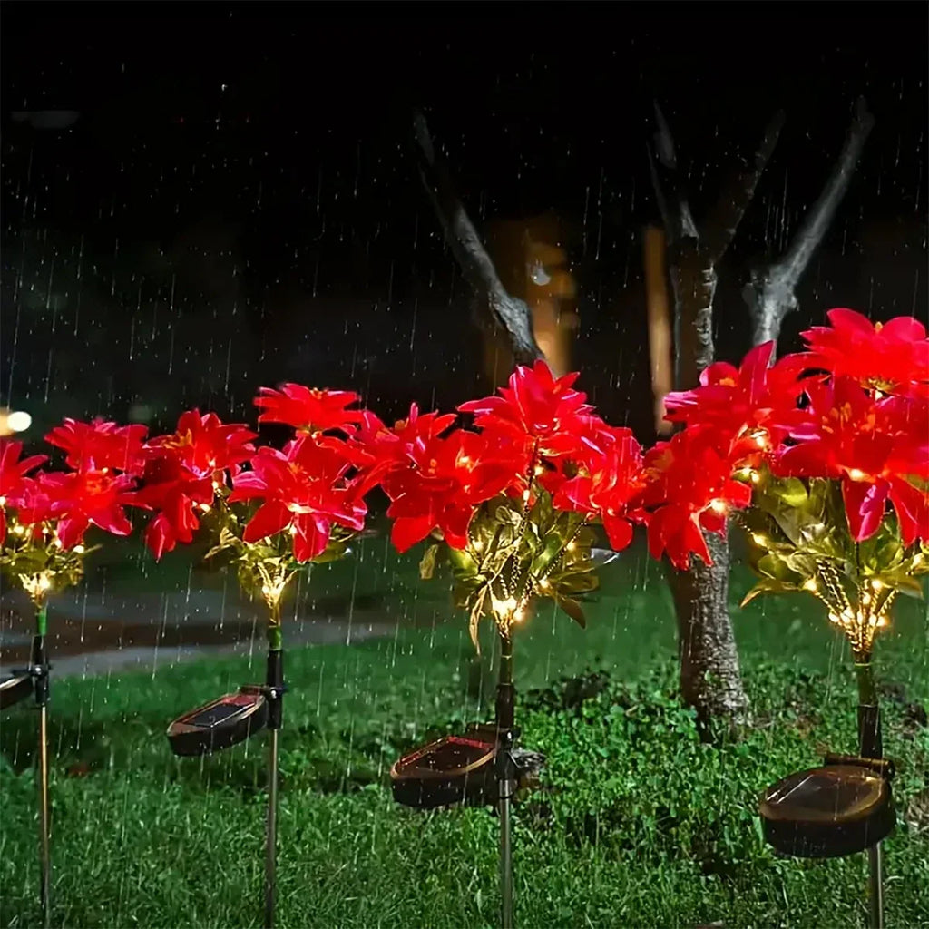 Sevair Deco Solar Poinsettia Lights for Christmas garden display