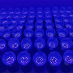 Sevair Deco UV Blacklight Bulb for Glow Parties 13