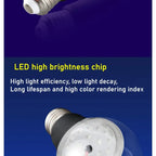 Sevair Deco UV Blacklight Bulb for Glow Parties 19