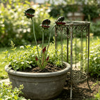 Sevair Deco Venus Flytrap Garden Stake 25-Inch 3